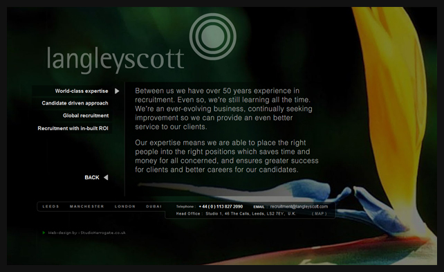website design